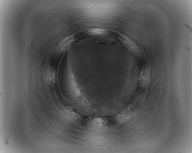 X0000097670330200802291506
