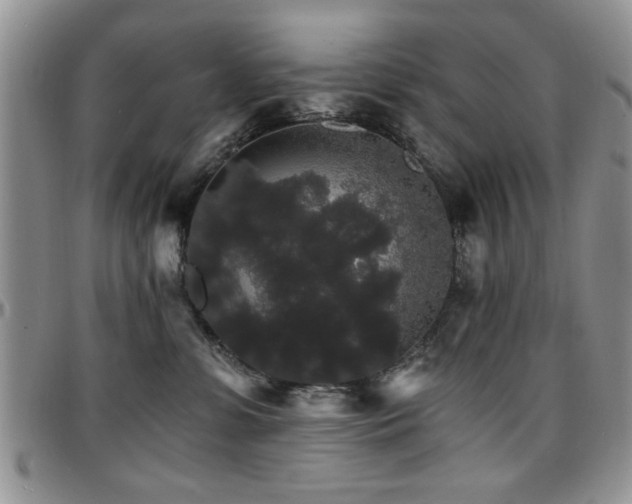 X0000097670331200802291506