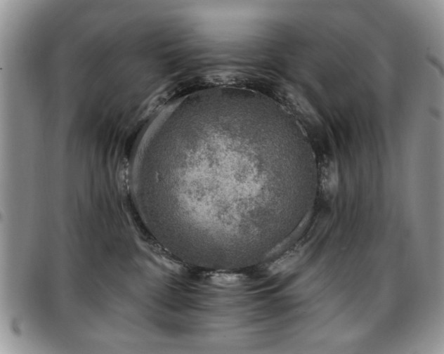 X0000097670332200802291506