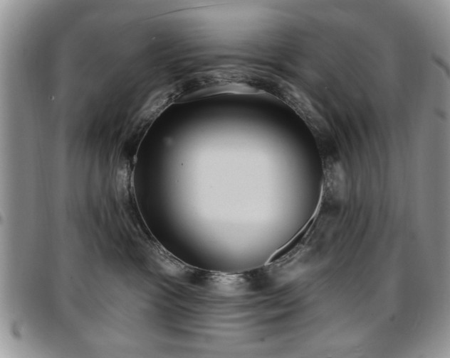 X0000097670333200802291506