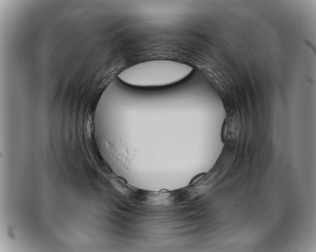 X0000097670334200802291506