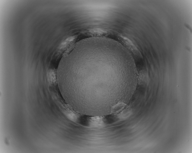 X0000097670335200802291506