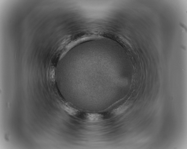 X0000097670336200802291506