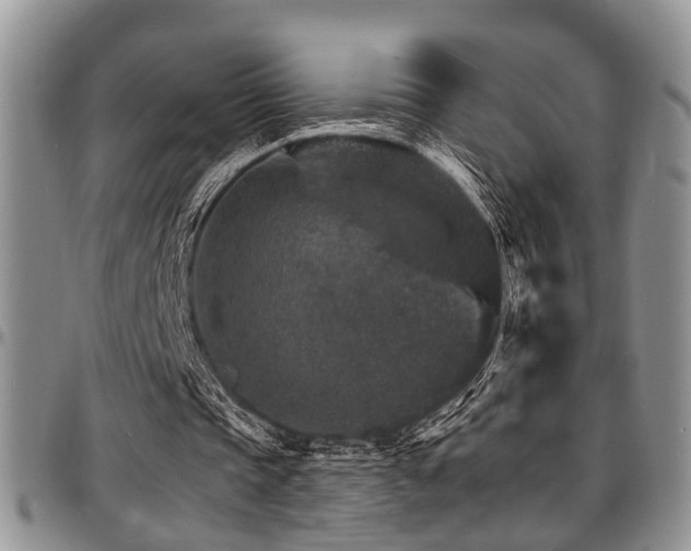 X0000097670337200802291505