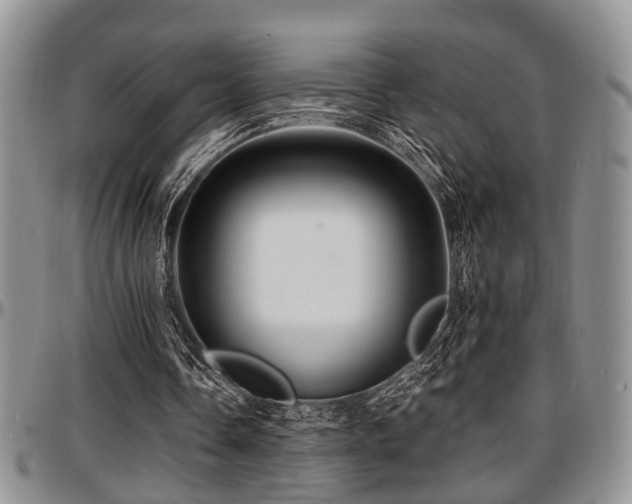 X0000097670338200802291505