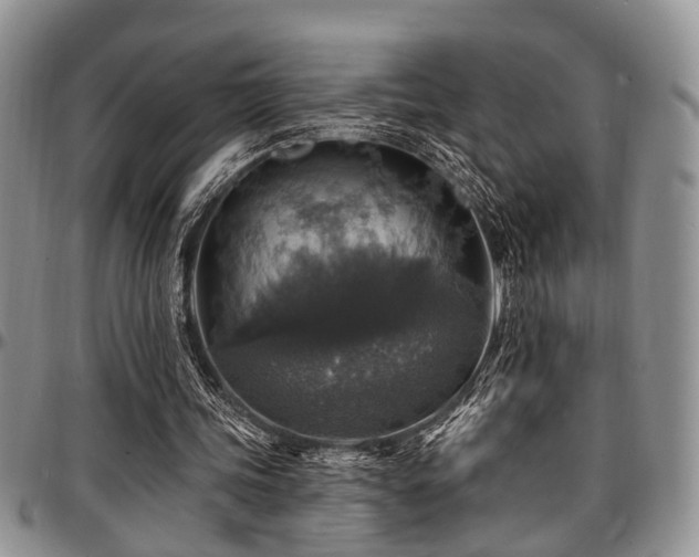 X0000097670339200802291505