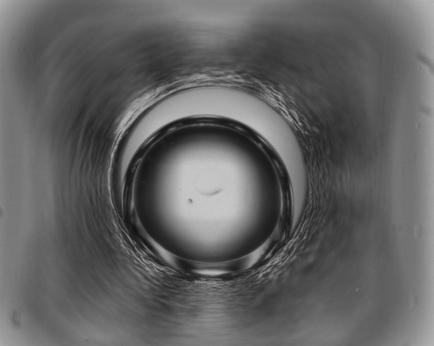 X0000097670340200802291505