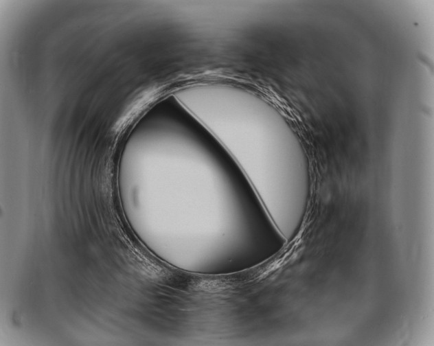 X0000097670341200802291505