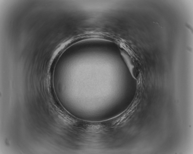 X0000097670342200802291505
