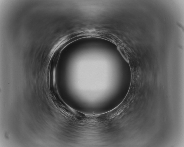 X0000097670344200802291505