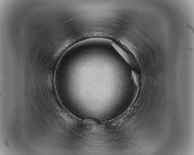 X0000097670345200802291505