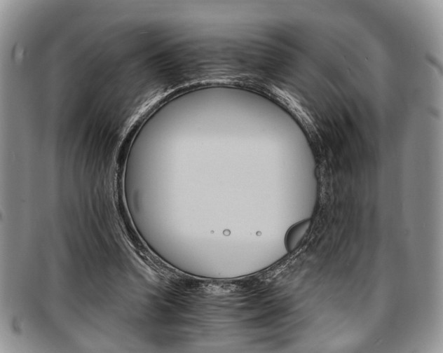 X0000097670346200802291506