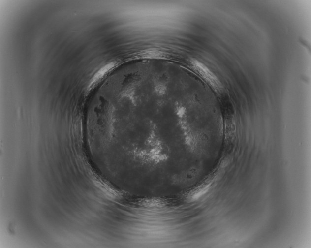 X0000097670349200802291506