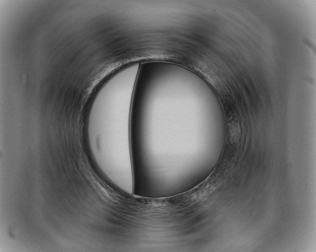 X0000097670350200802291506