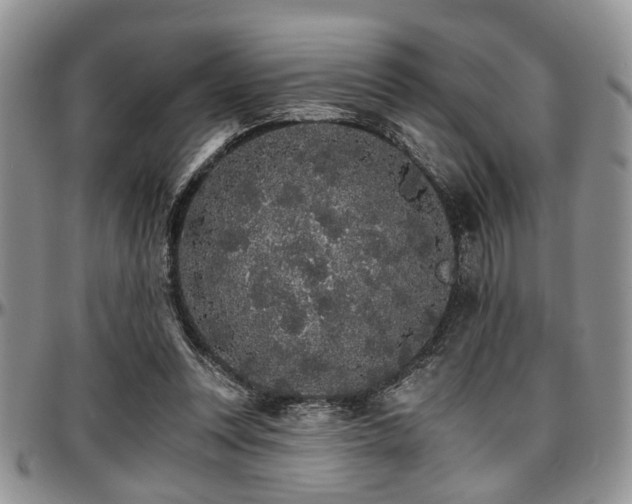 X0000097670351200802291506