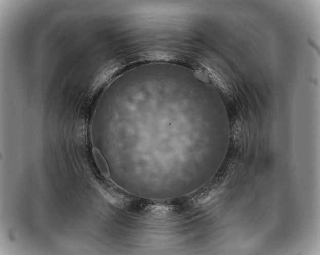 X0000097670352200802291506
