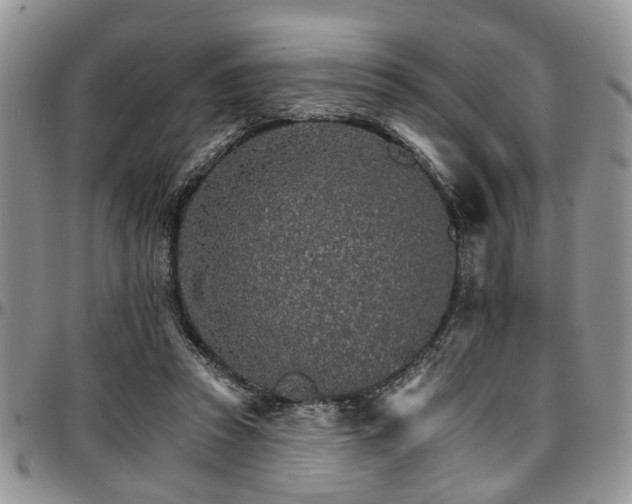 X0000097670353200802291506
