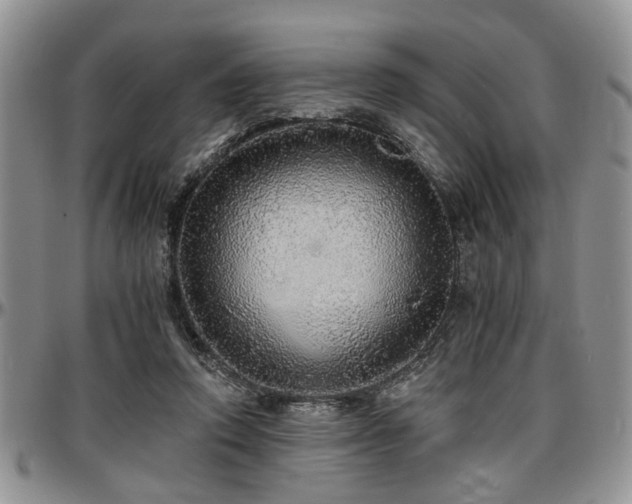 X0000097670354200802291506