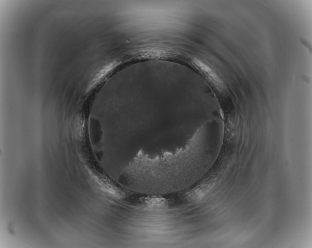 X0000097670355200802291506