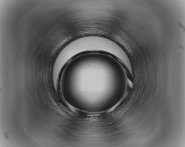 X0000097670356200802291506