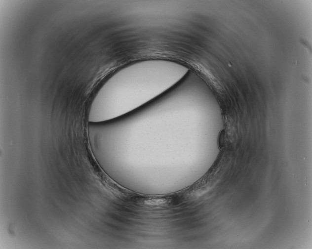 X0000097670357200802291506