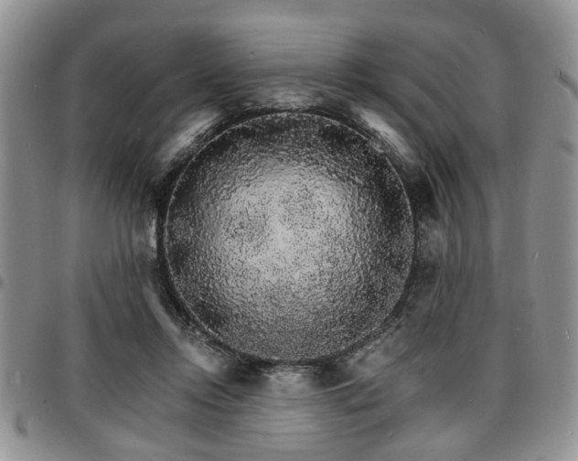 X0000097670358200802291506