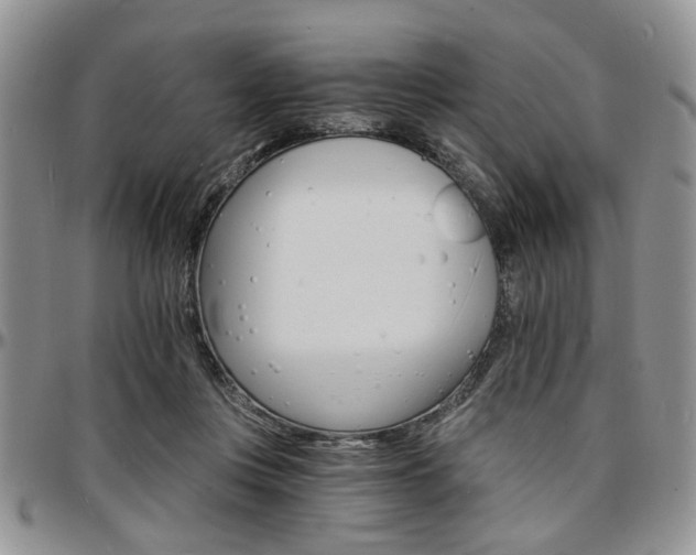 X0000097670359200802291506