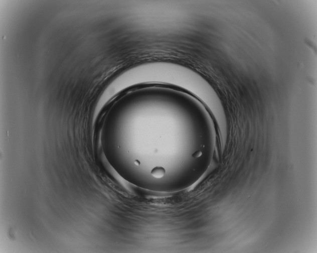 X0000097670360200802291506