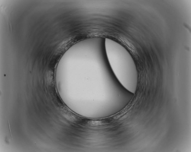 X0000097670361200802291506