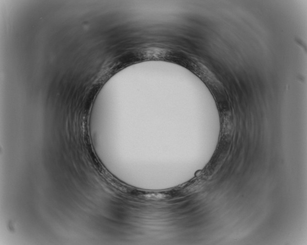 X0000097670363200802291506