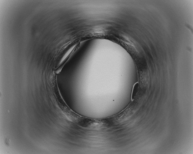 X0000097670364200802291506