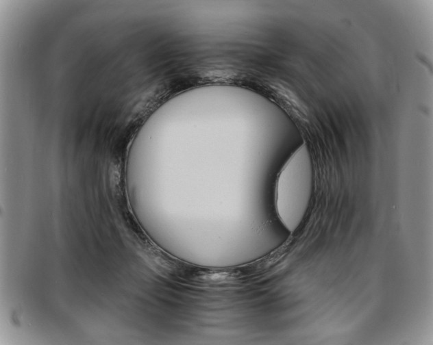 X0000097670365200802291506
