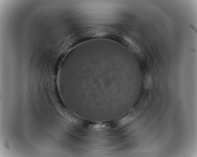 X0000097670366200802291506
