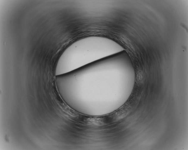 X0000097670367200802291506