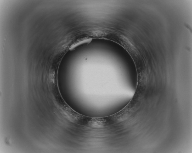 X0000097670368200802291506