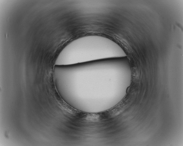 X0000097670369200802291506