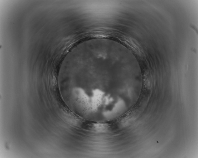 X0000097670371200802291506