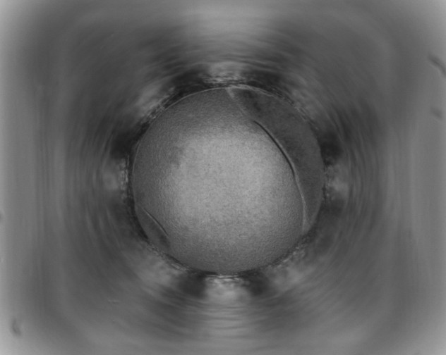 X0000097670372200802291506