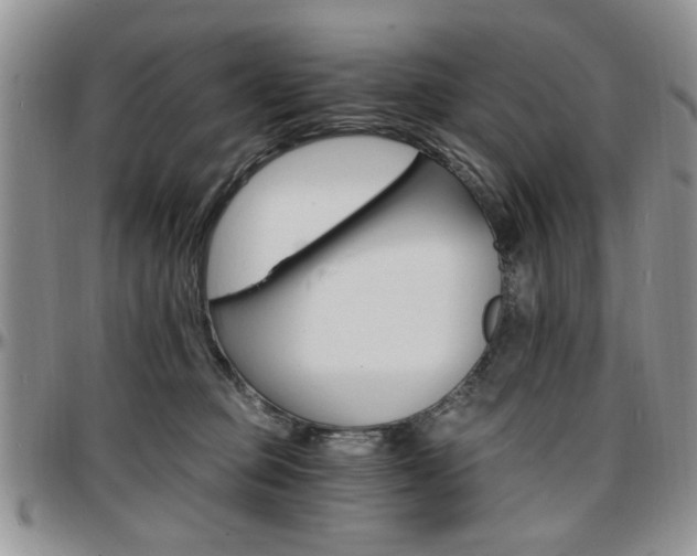 X0000097670373200802291506