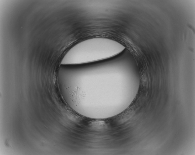 X0000097670374200802291506