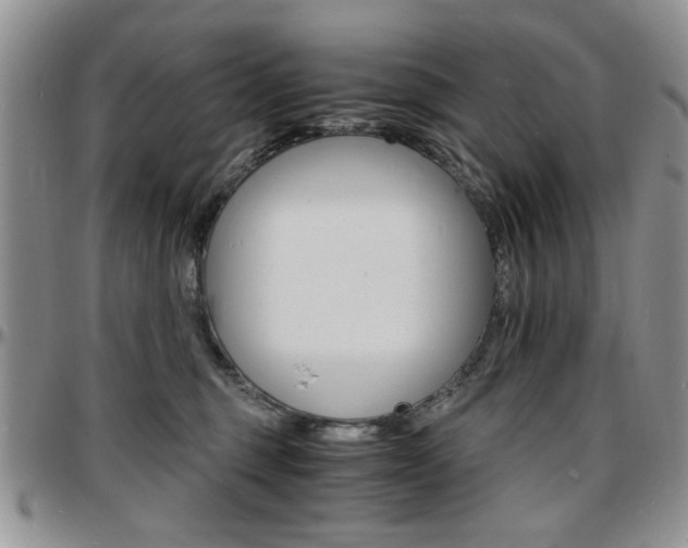 X0000097670375200802291506