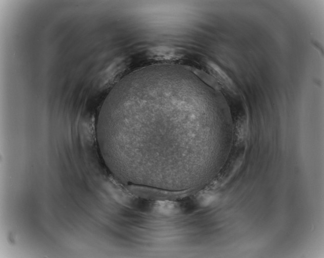 X0000097670376200802291506