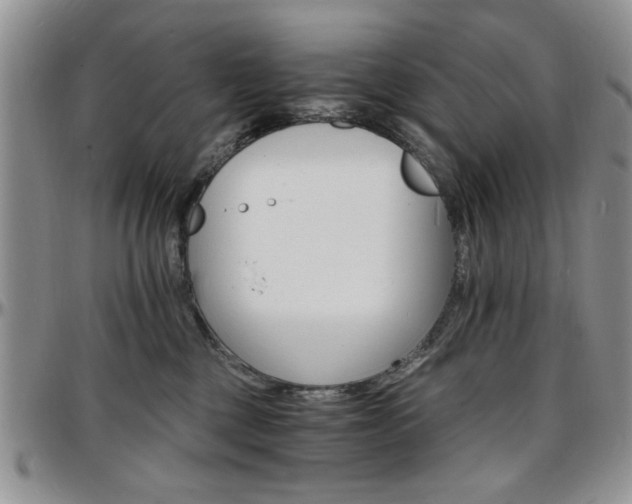 X0000097670377200802291506