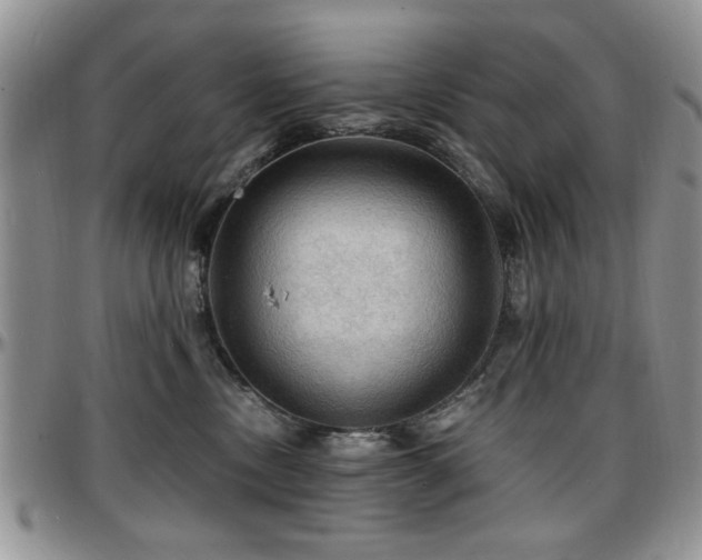 X0000097670378200802291506