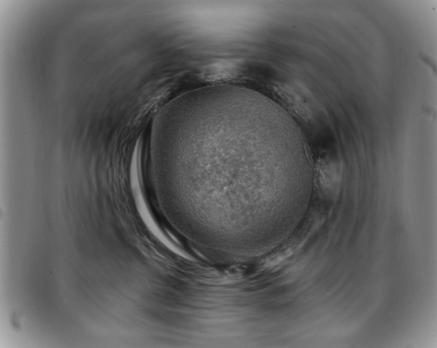 X0000097670380200802291506