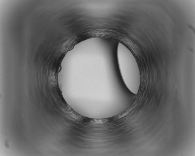X0000097670381200802291506