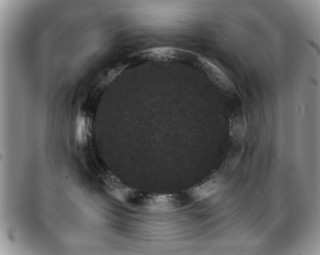 X0000097670382200802291506
