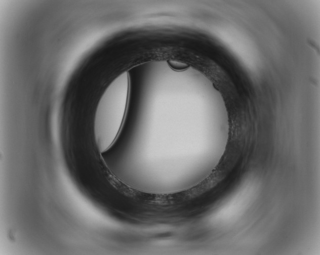 X0000097670383200802291506