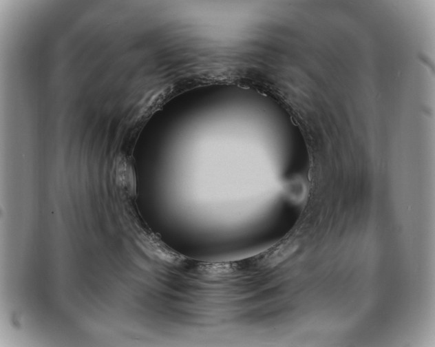 X0000097670384200802291506