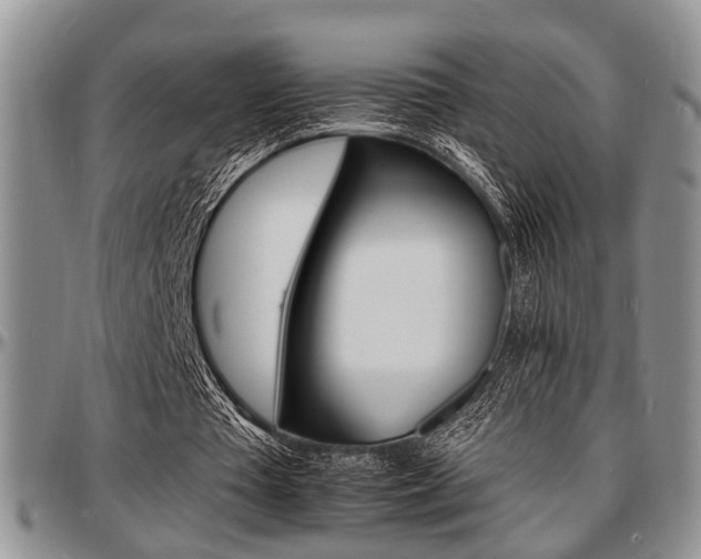 X0000097670385200802291505
